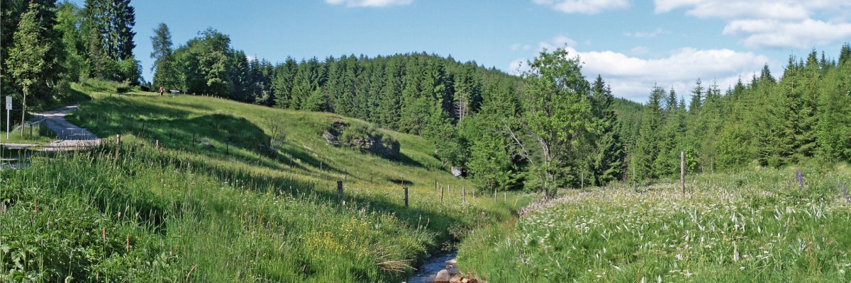 Pohled na Lehmergrund