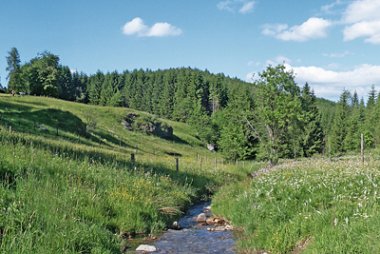 Pohled na Lehmergrund