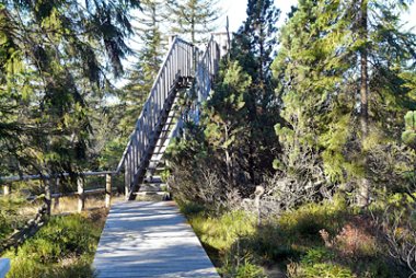 Footbridge to the viewing platform in the "Kleiner Kranichsee" nature reserve