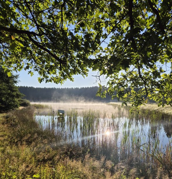 Clouds of mist rising over the biotope of the natural pool