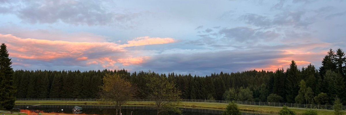 Hier sehen Sie einen Sonnenuntergang über einem Wald