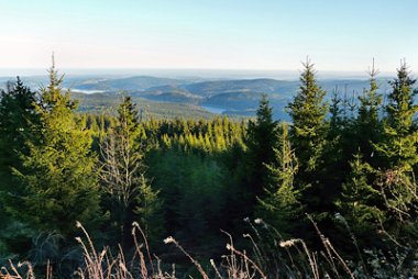 Blick vom Auersberg in Richtung Talsperre Sosa
